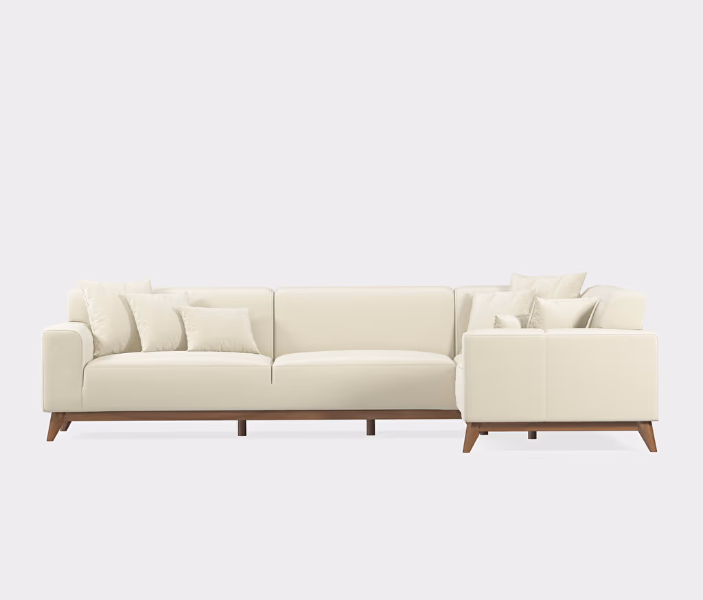 Netha Sofa Bed