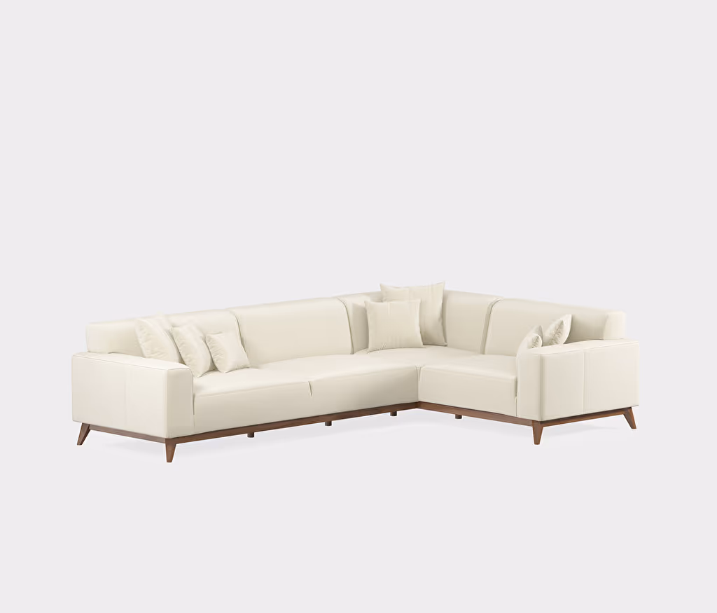 Netha Sofa Bed