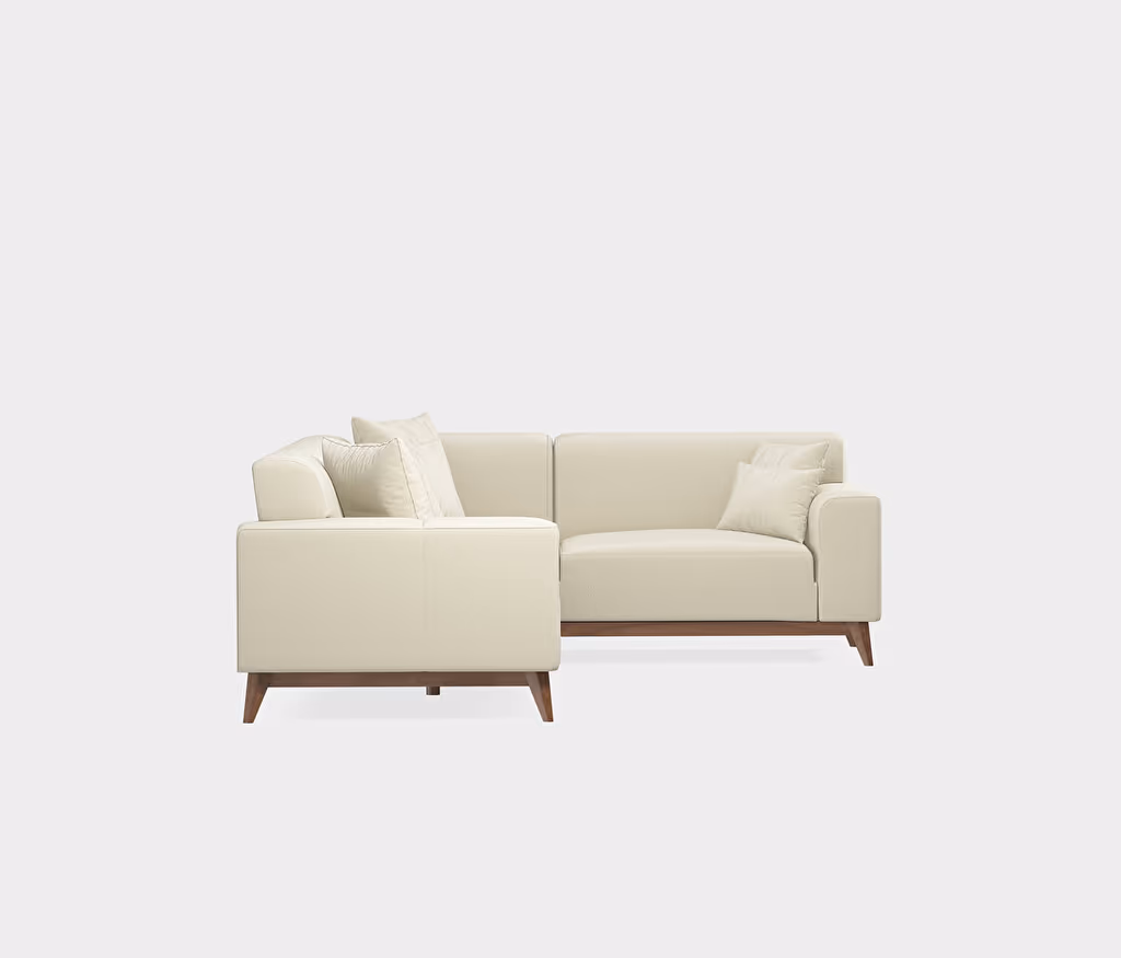 Netha Sofa Bed