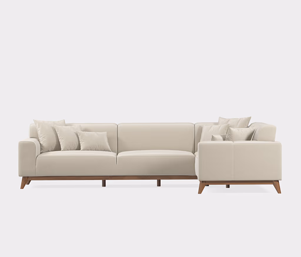 Netha Sofa Bed