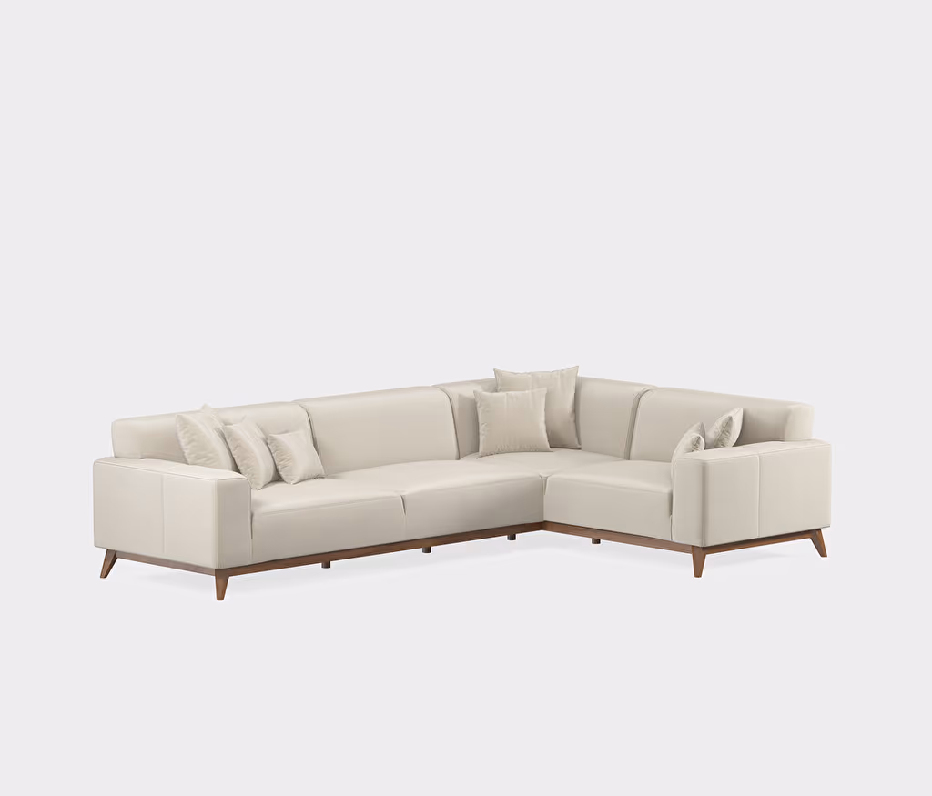 Netha Sofa Bed