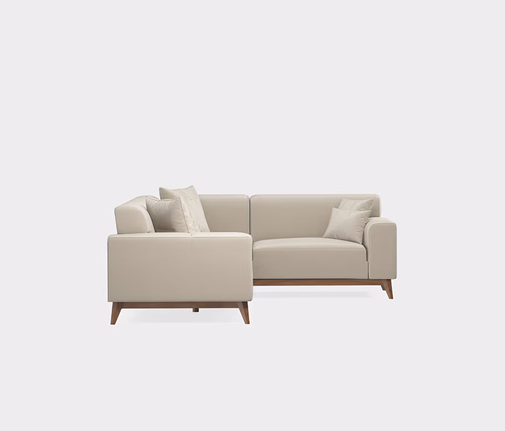 Netha Sofa Bed