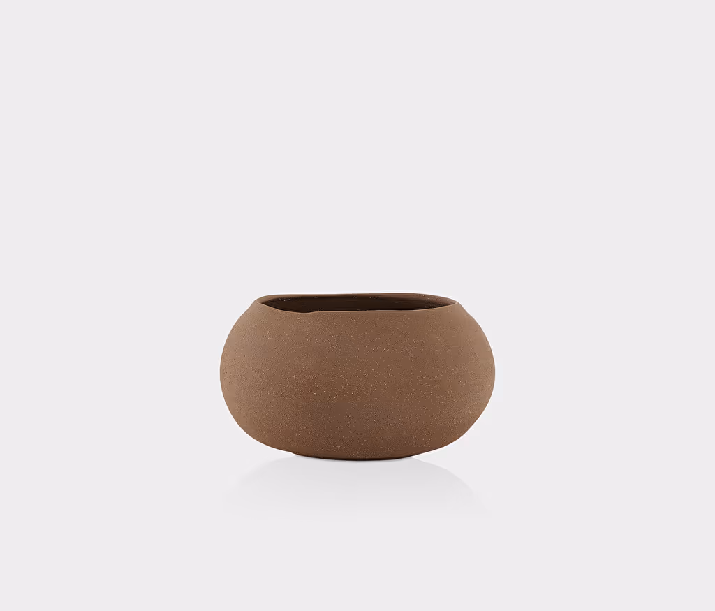 Seed Decorative Plate and Bowl