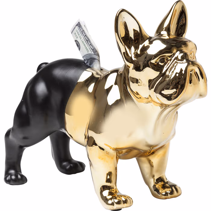 Kasica – Bulldog Gold-Black