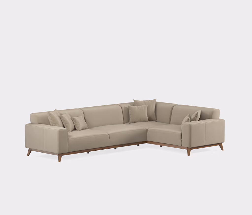Netha Sofa Bed