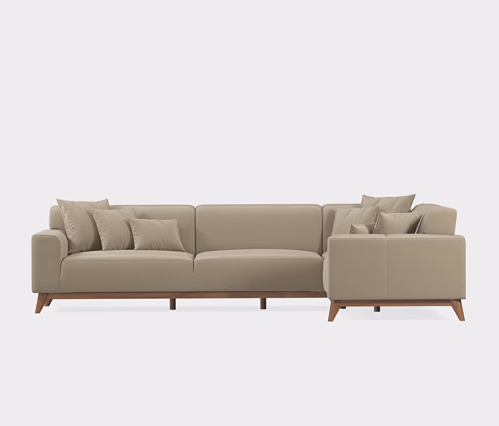 Netha Sofa Bed