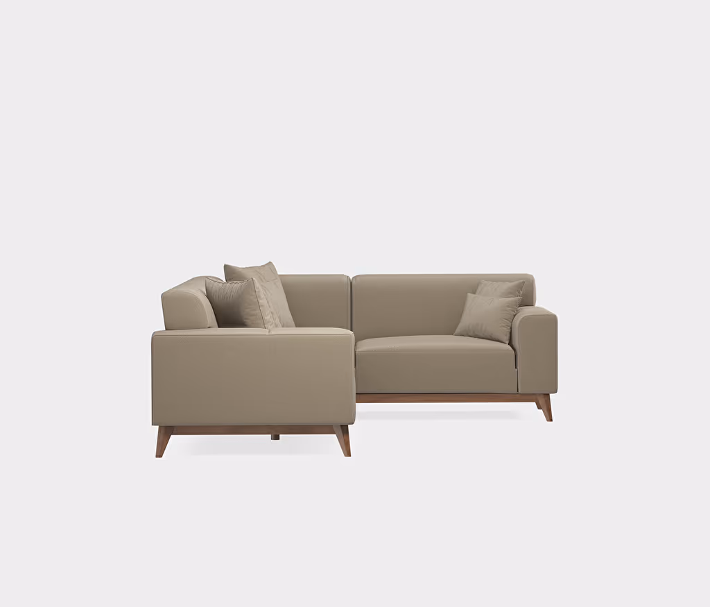 Netha Sofa Bed
