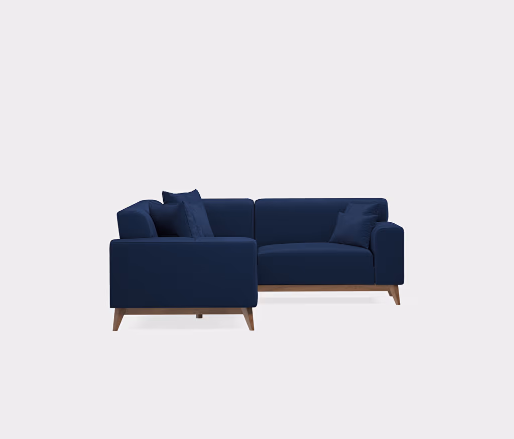 Netha Sofa Bed