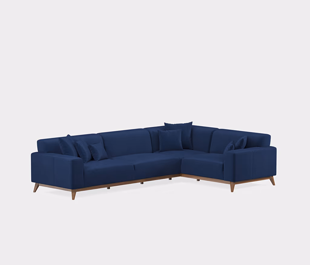 Netha Sofa Bed